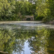 Water pond with bridge in Marlay Park, Dublin, Ireland.